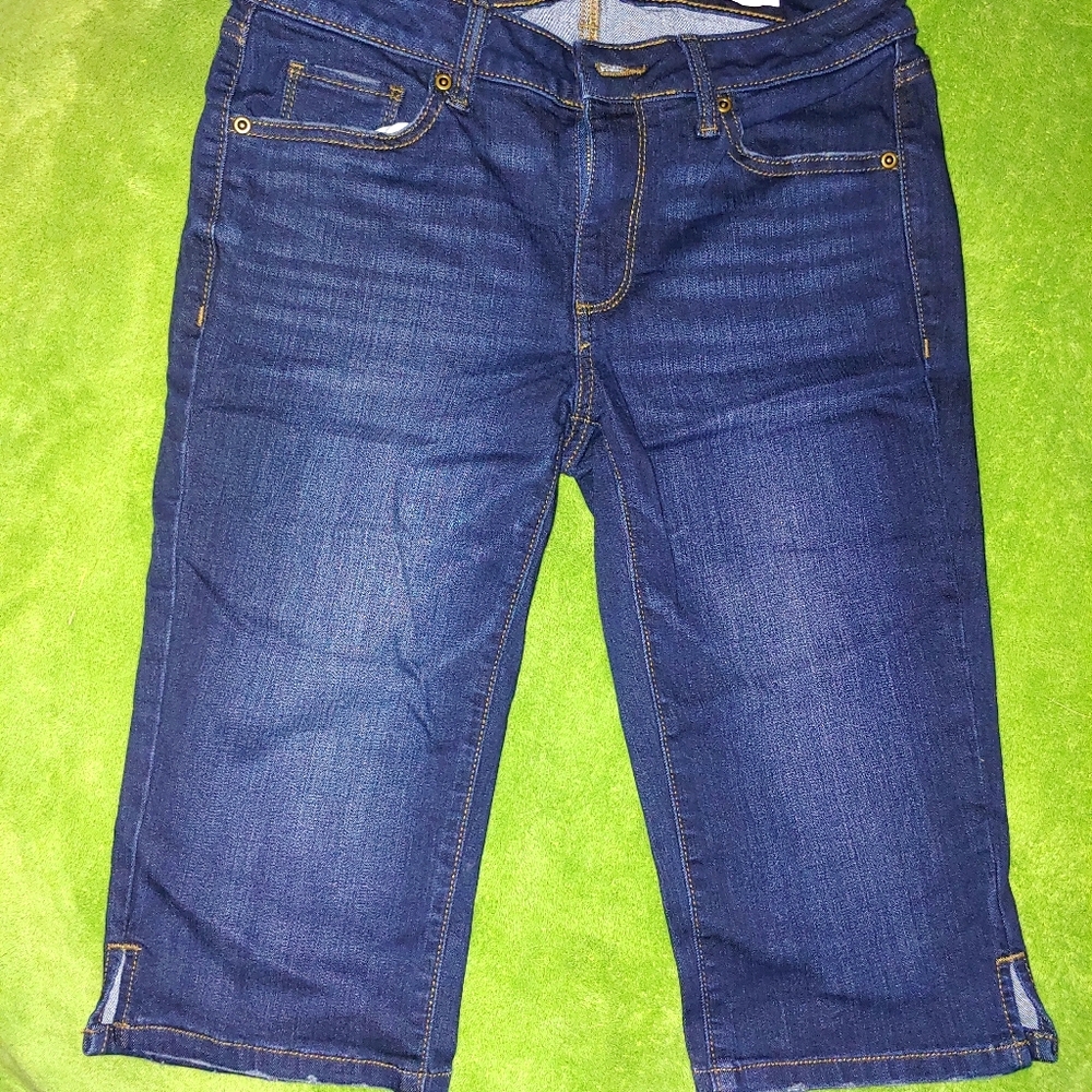 NWT Sonoma skimmer
